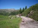 DOLOMITI2009 (220)